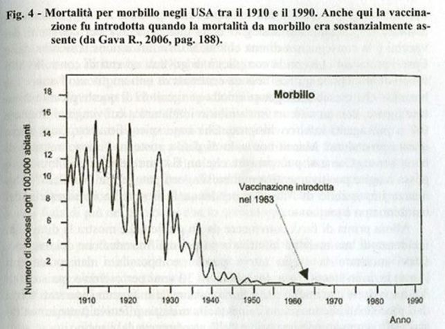 Fig. 1 morbillo mortalità (Gava R. 2006, pag. 188)